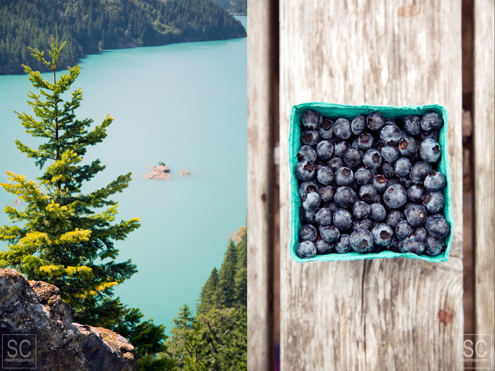 Diablo Lake and fresh blueberries