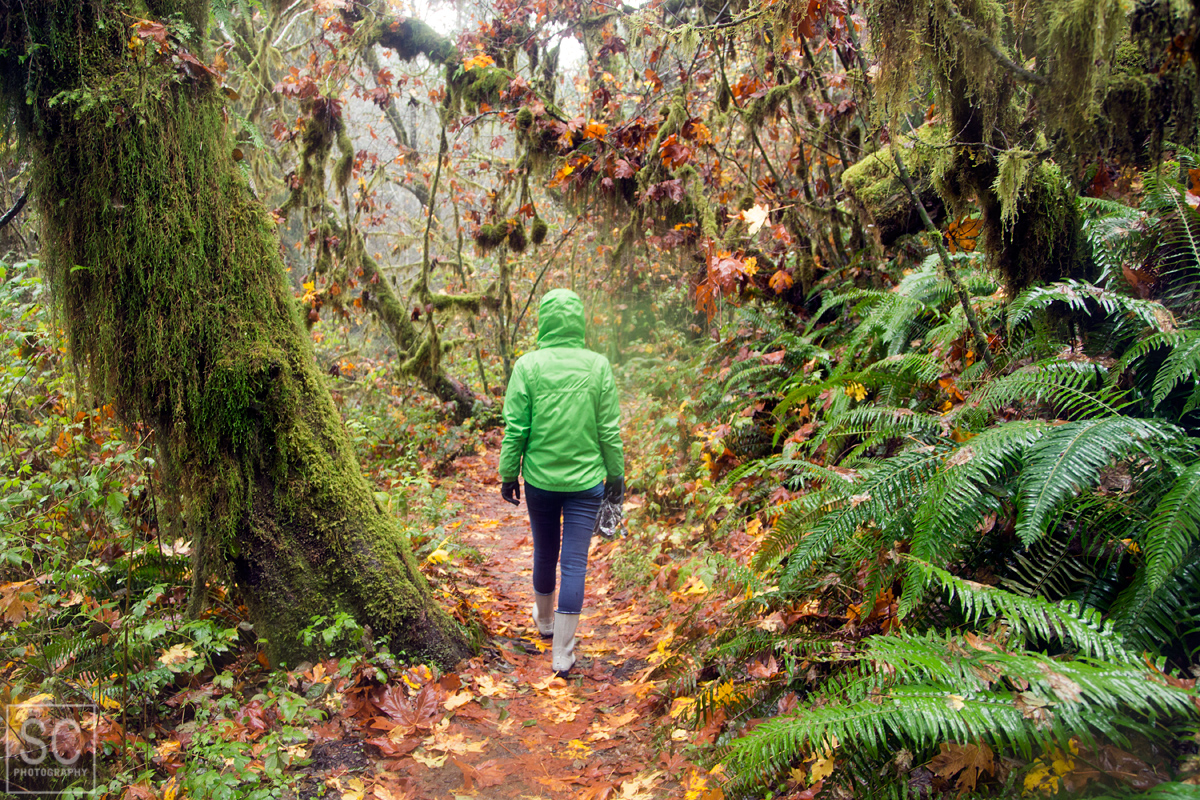 Loved the ground covered in fallen leaves,  Spruce Nature trail in the Hoh Rain Forest