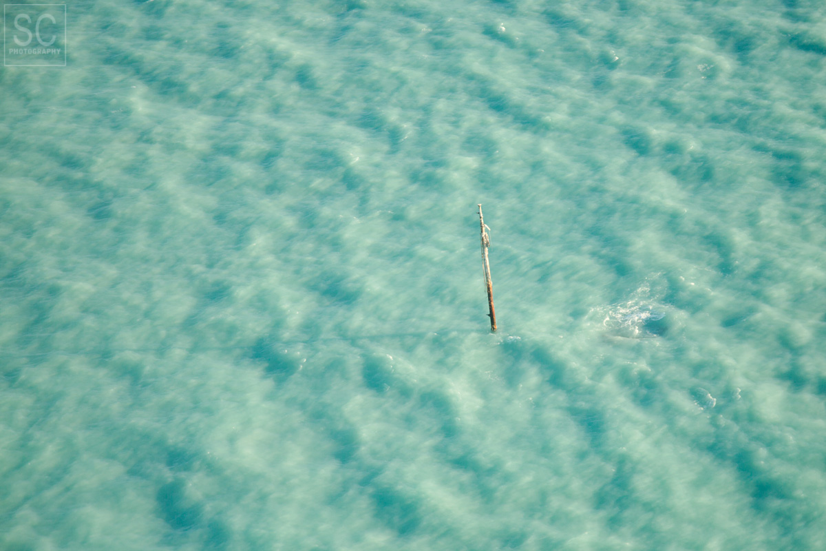 Flying over a sunken ship on the way to Dry Tortugas national park. 