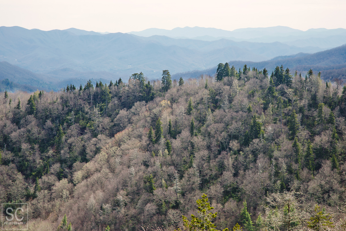 Views from Clingmans Dome hike
