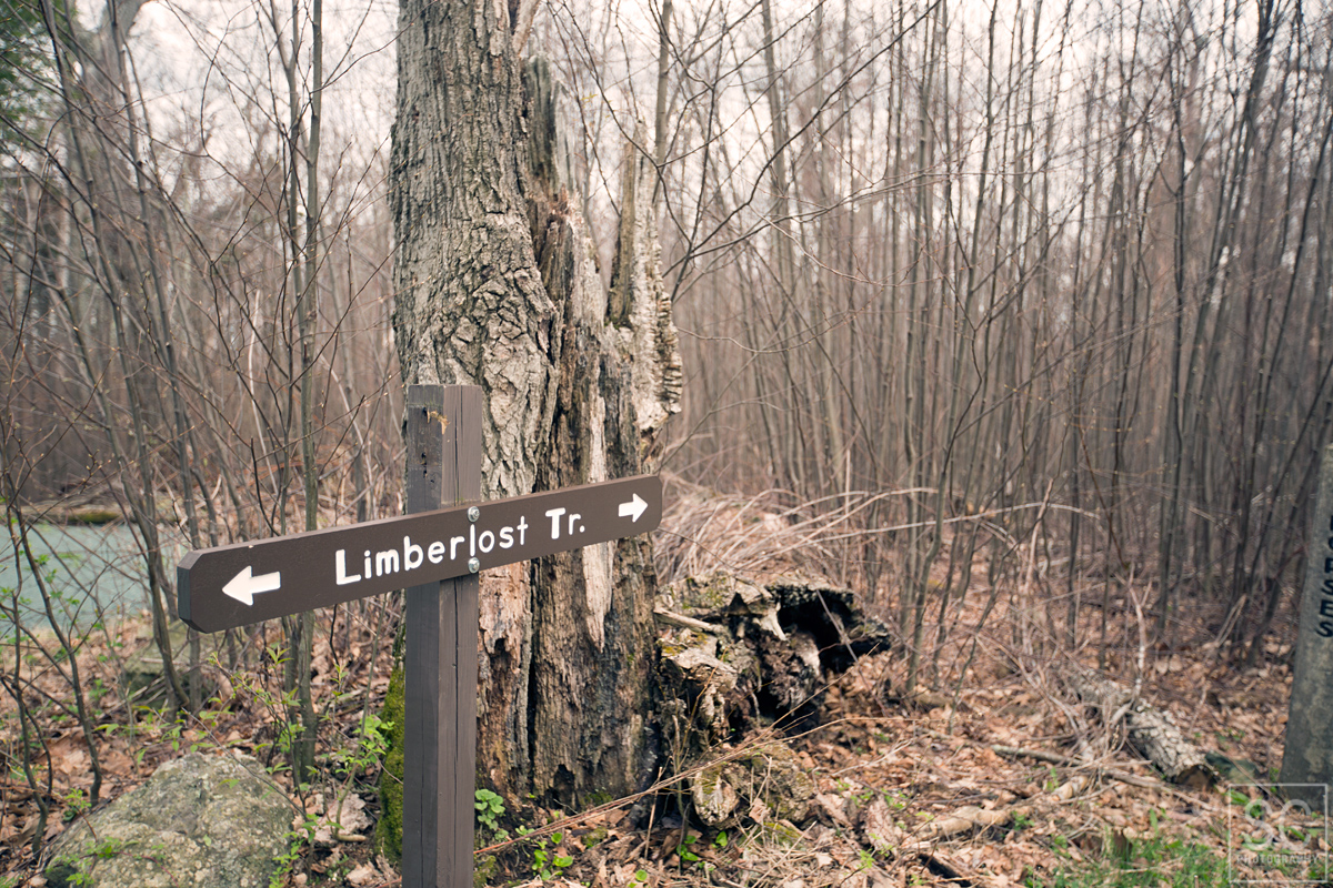 Limberlost trail 