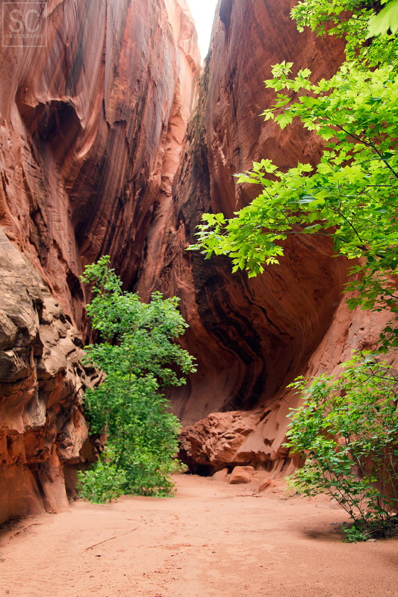 Secret Canyon in Grand Staircase-Escalante National Monument 