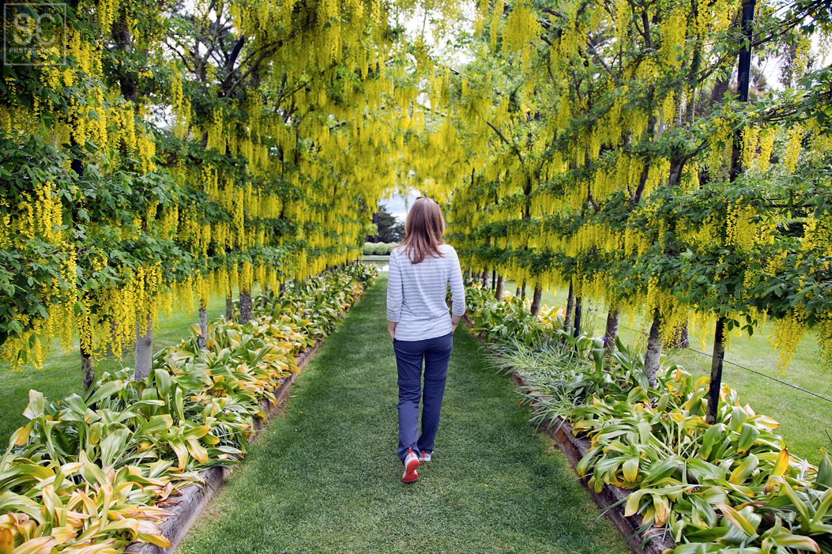 Loved this yellow tunnel