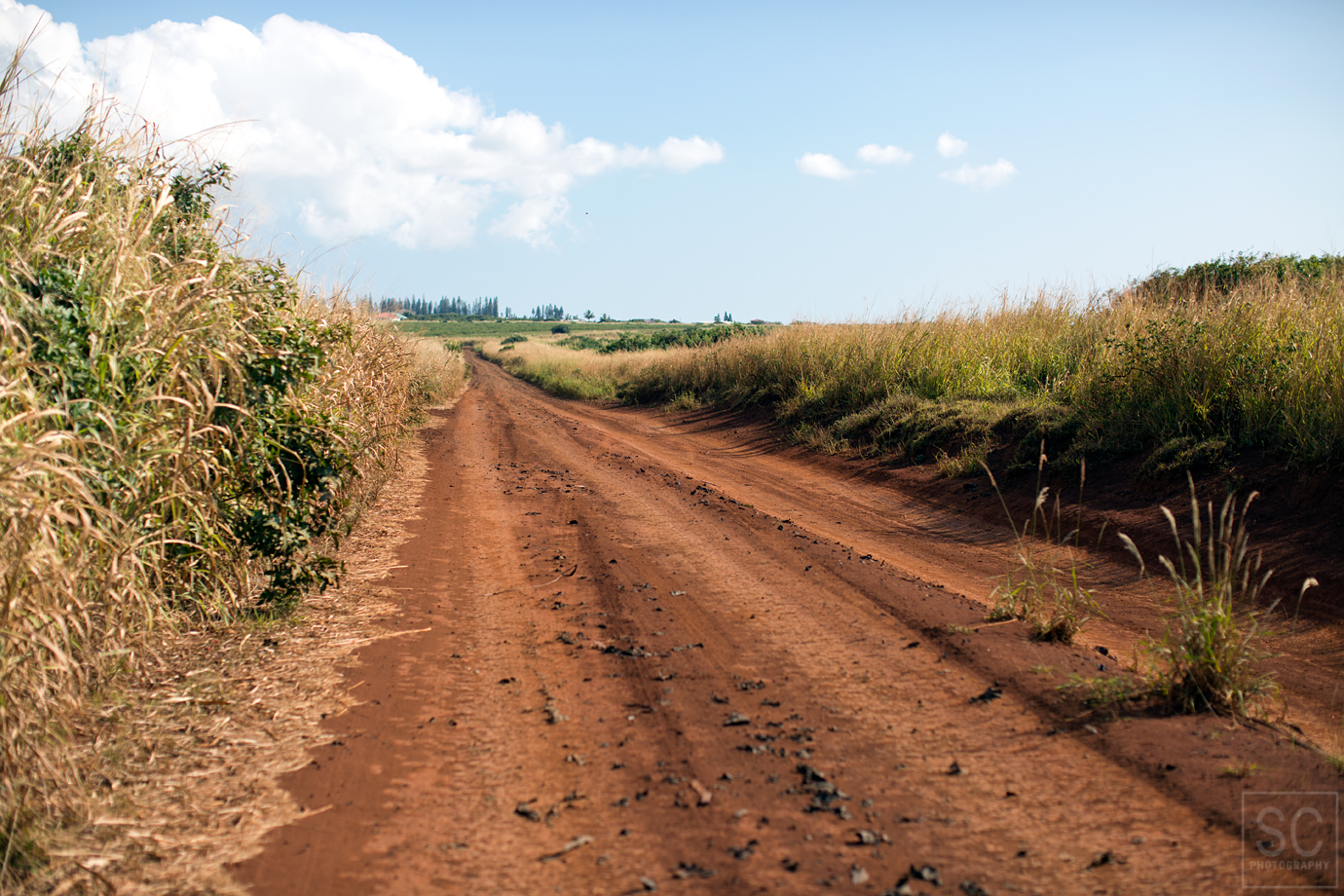 Dirt road to Polihua beach 