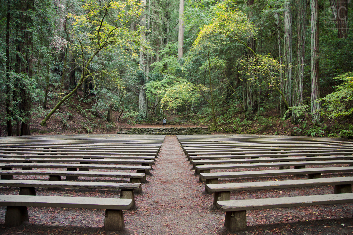 Armstrong Redwoods State Natural Reserve - ampitheatre