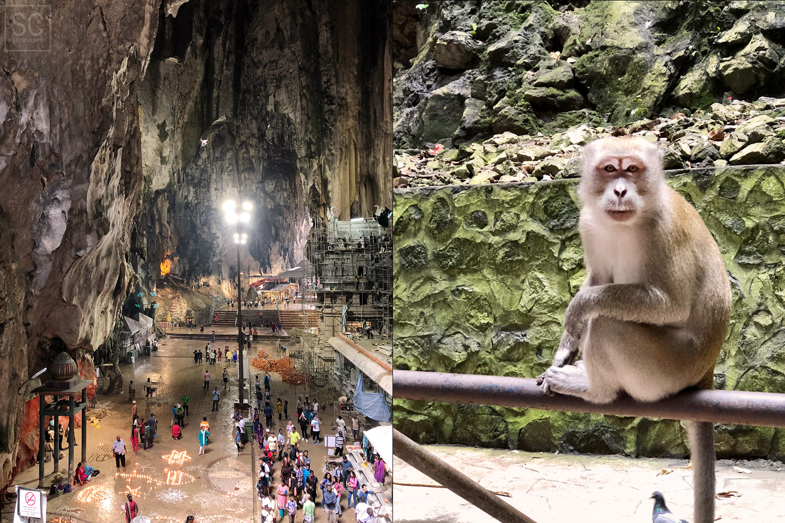 The caves are infested with monkeys ready to steal any food they see. 