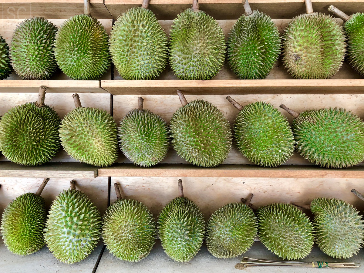 Mmm, durian :)