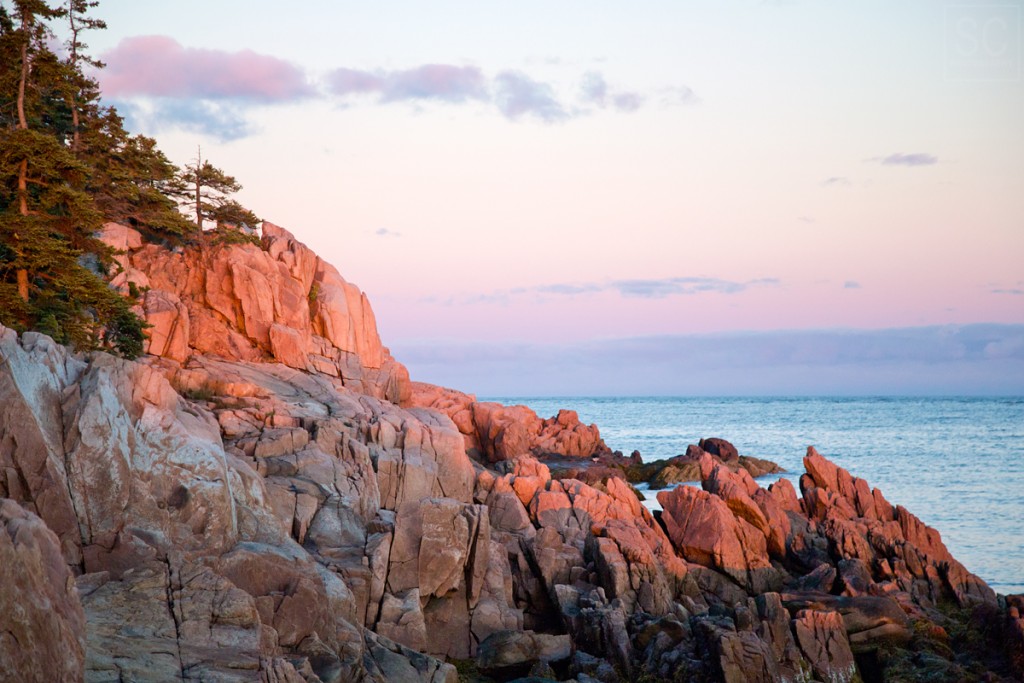 constantly pounded by the ocean is the signature of this park